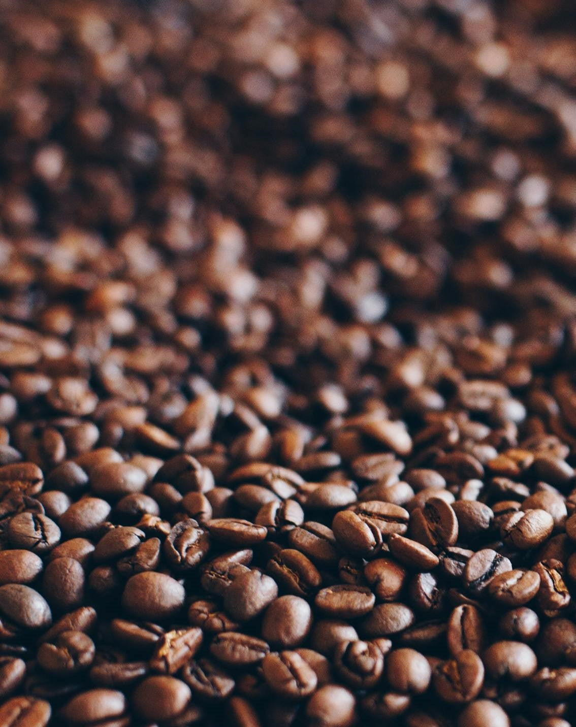 House Coffee Fragrance Oil