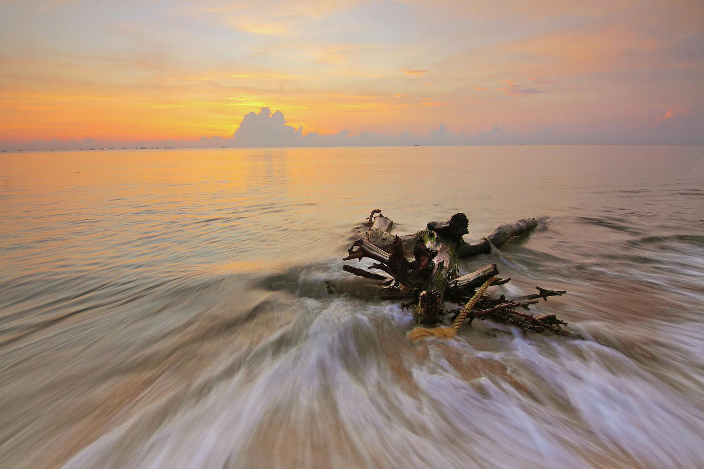 Shoreline Woods & Sea Salt Fragrance Oil