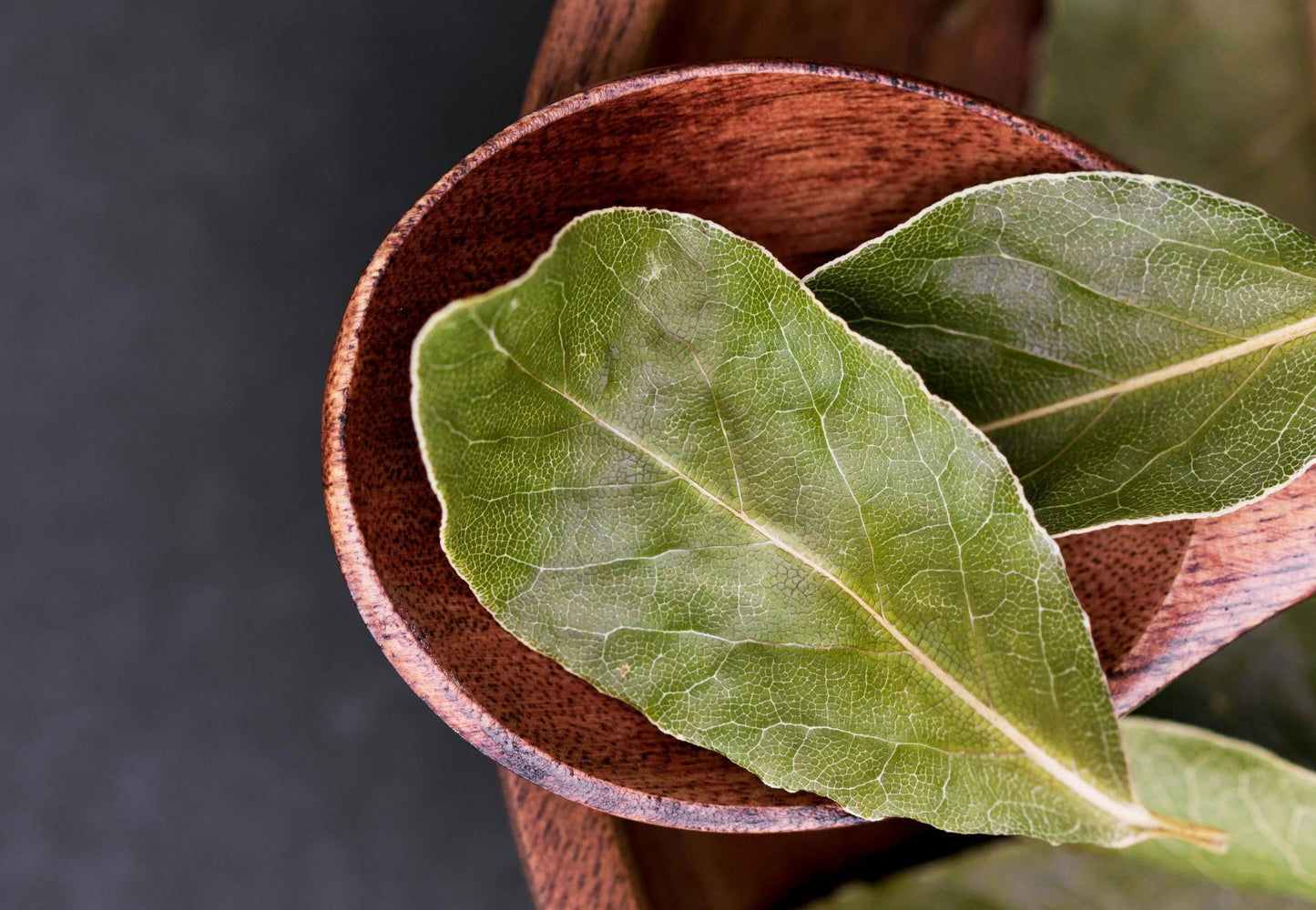 Tobacco Leaves and Amber Fragrance Oil